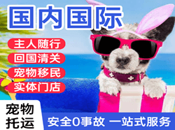 阿荣航空快运国际宠物托运 【国